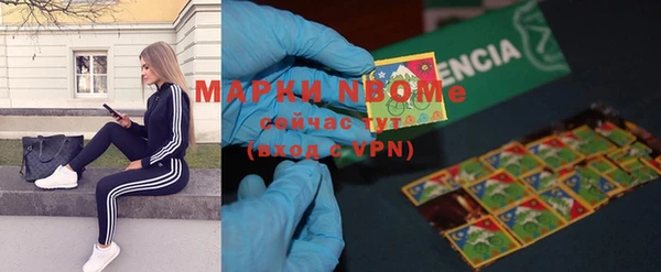 трава Няндома