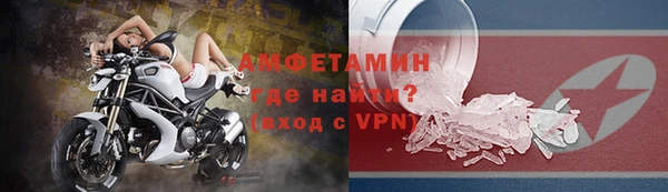 трава Няндома