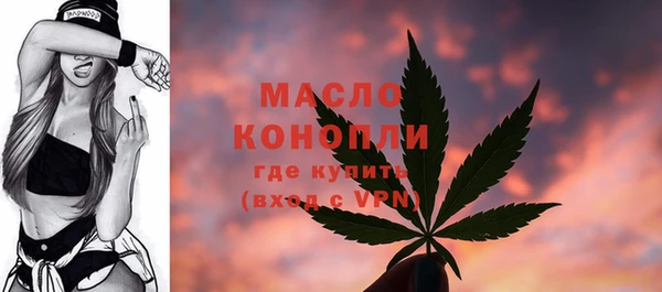 трава Няндома