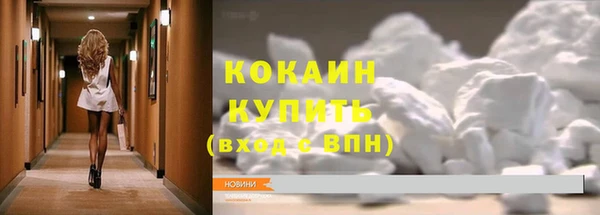 трава Няндома
