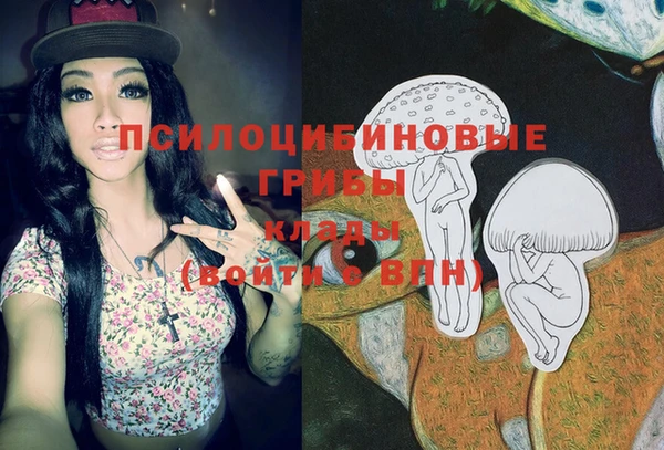 трава Няндома