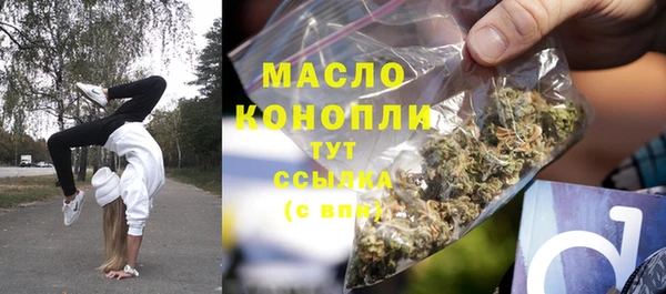 трава Няндома