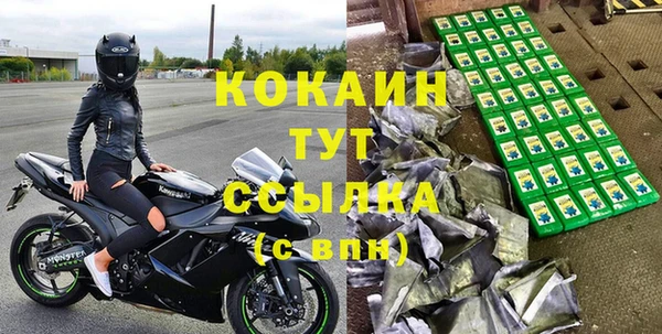 трава Няндома