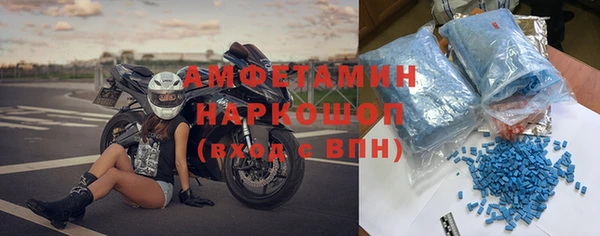 трава Няндома