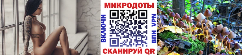 Псилоцибиновые грибы Magic Shrooms Кондрово